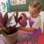 IMG-20210924-WA0014